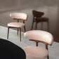 ZAPHYRA Dining Chair