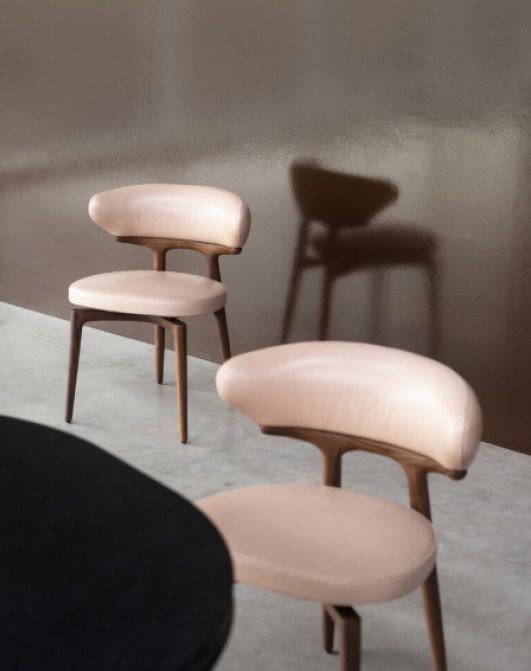 ZAPHYRA Dining Chair